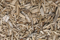 biomass boilers Rogate
