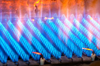 Rogate gas fired boilers